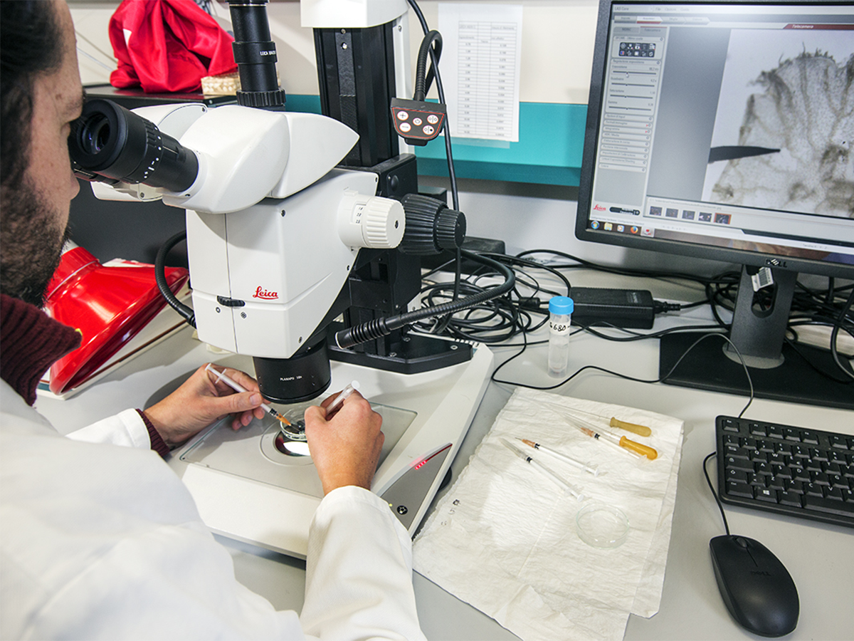 Laboratori di Biologia Marina 