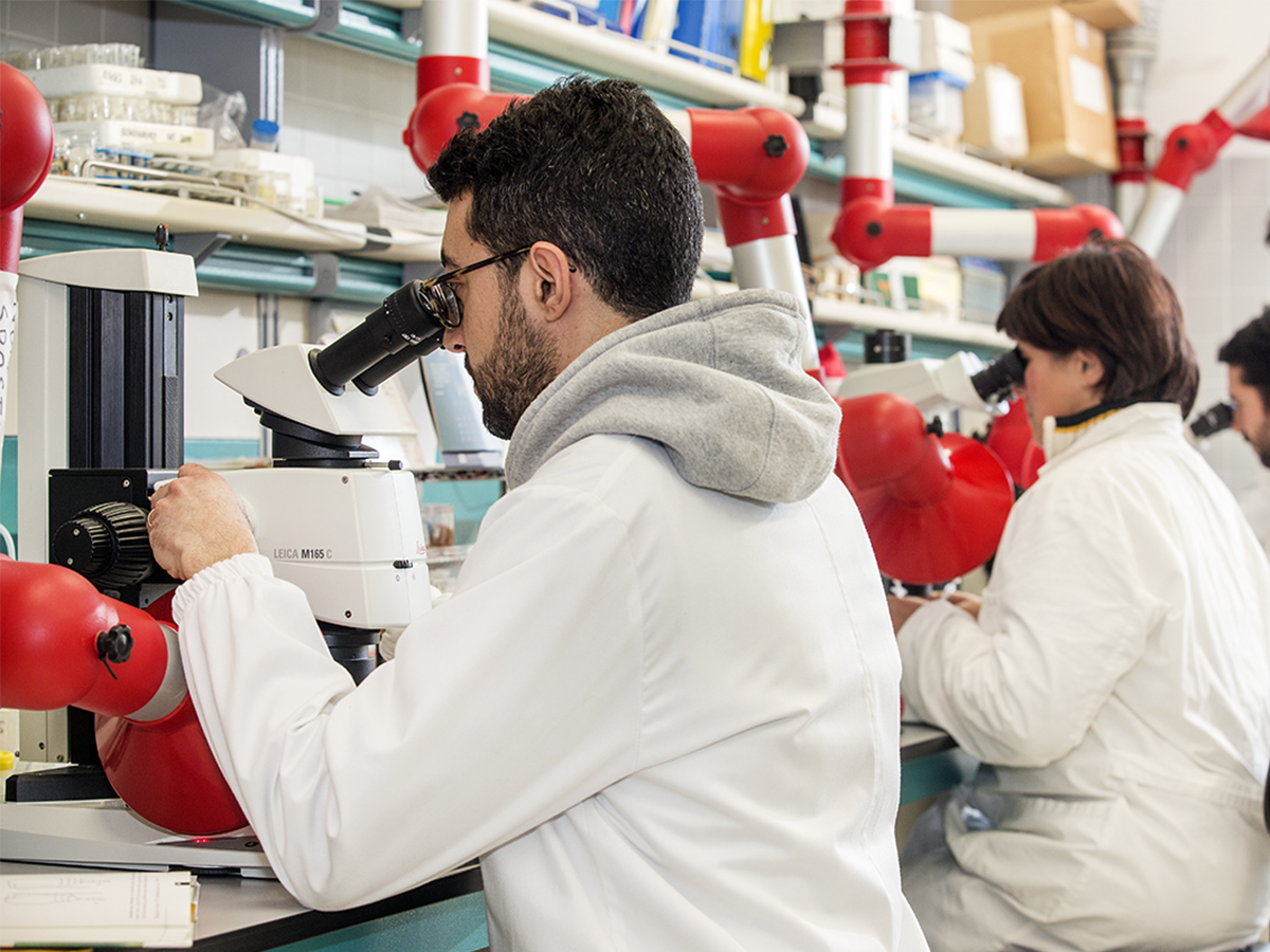 Laboratori di Biologia Marina 