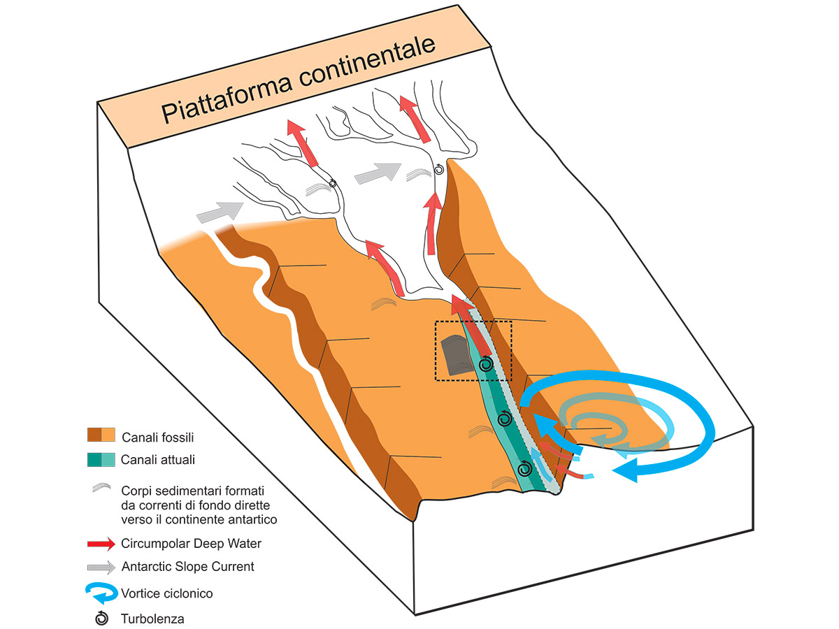 Schema rappresentativo del processo di trasferimento delle acque calde della Circumpolar Deep Water dalle zone abissali al continente antartico