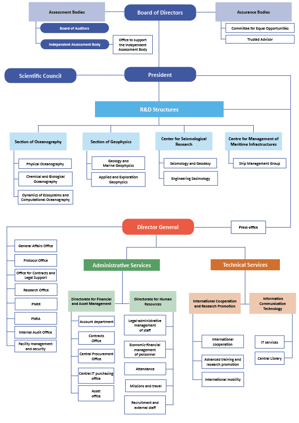 Organigramma in inglese novembre 2024