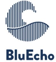 Logo Bluecho