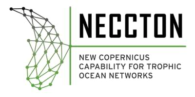 Logo progetto NECCTON